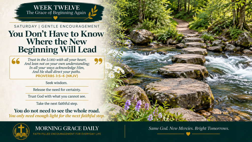 Trust God with the next step devotional image showing stepping stones crossing a clear mountain stream toward a path hidden beyond the trees.